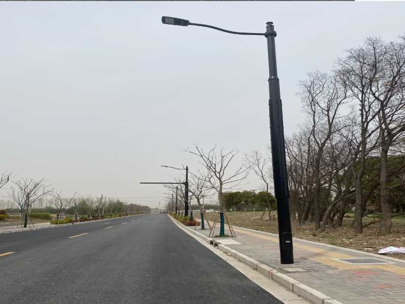 临桂区上海综合杆 太阳能路灯工程